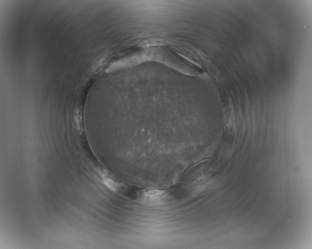 X0000067840669200604171154