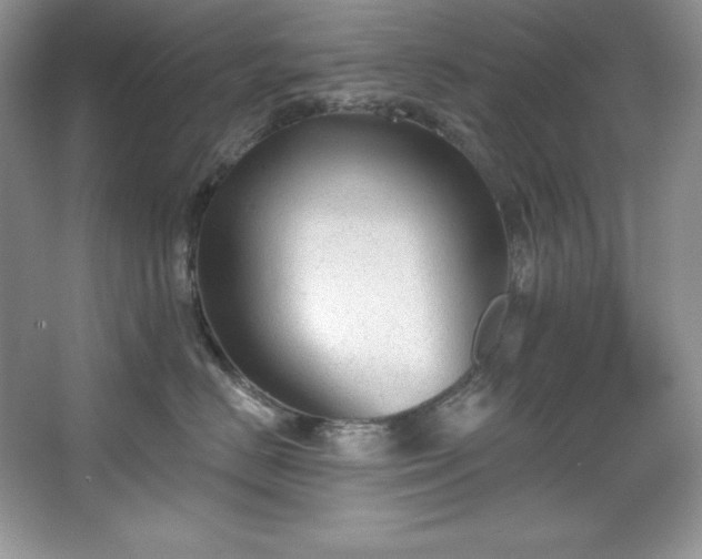 X0000067840670200604171154