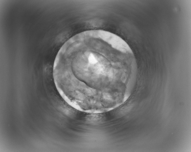 X0000067840672200604171154