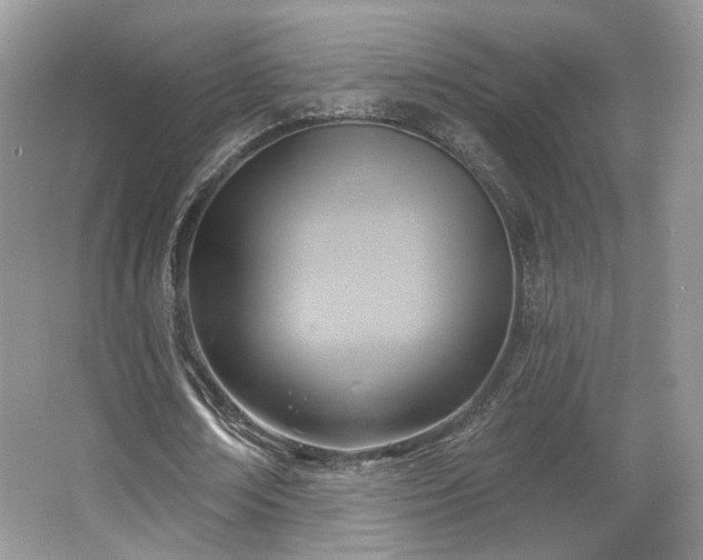 X0000067840674200604171153