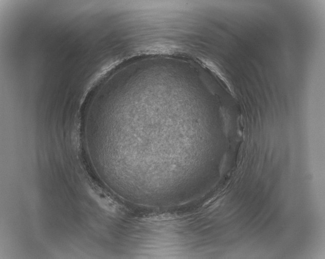 X0000067840675200604171153