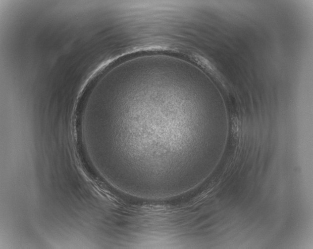 X0000067840676200604171153