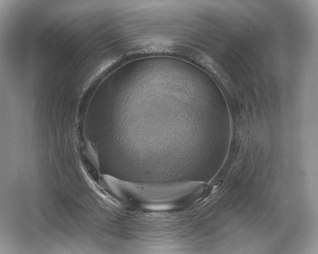 X0000067840677200604171153