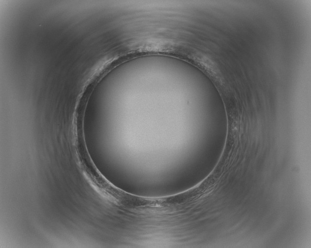 X0000067840678200604171153
