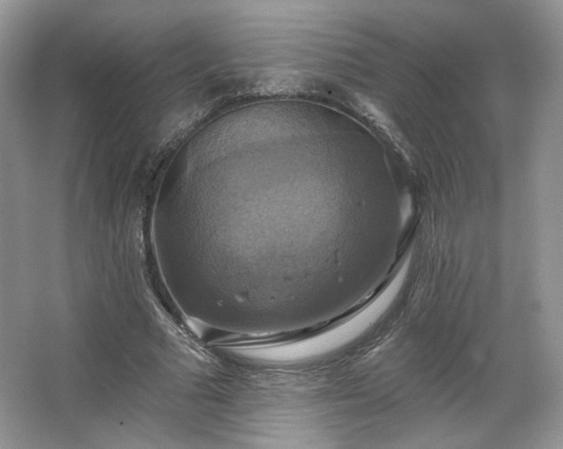 X0000067840681200604171153