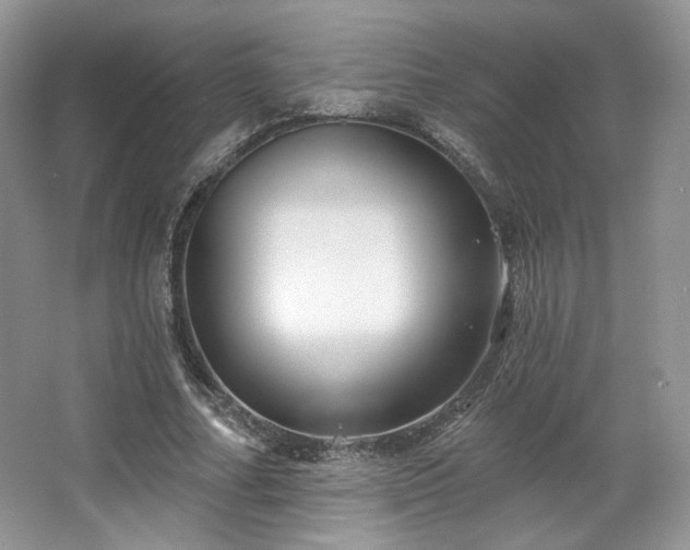 X0000067840682200604171153