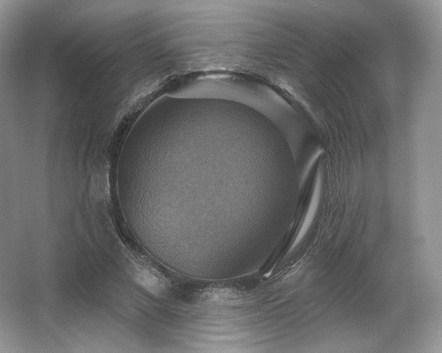 X0000067840685200604171153