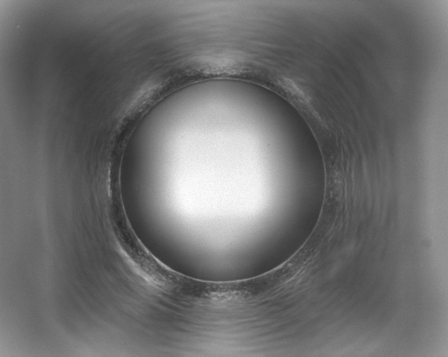 X0000067840686200604171153