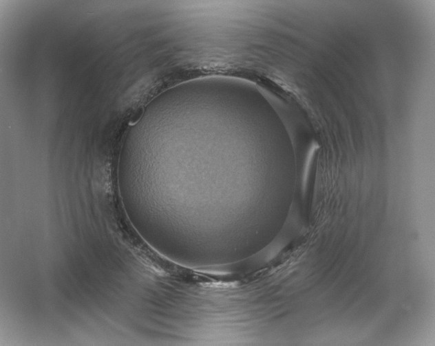 X0000067840689200604171153