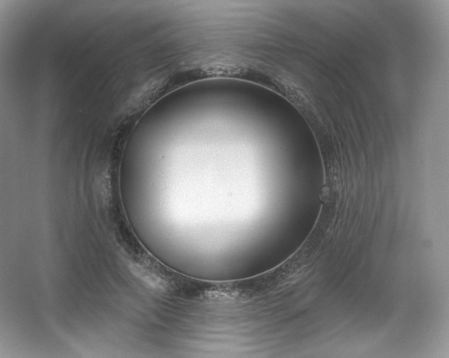 X0000067840690200604171153