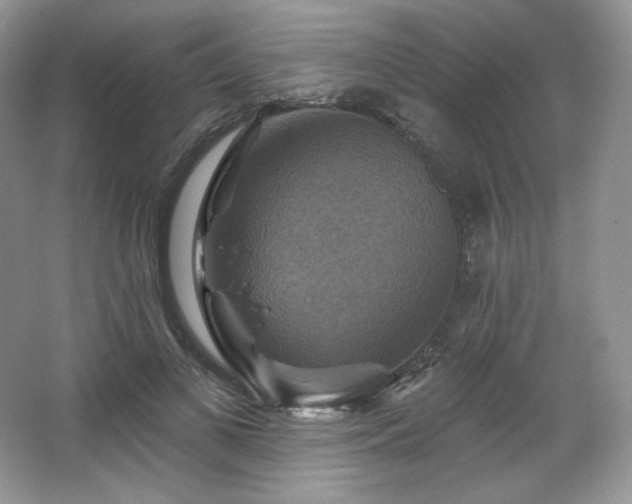 X0000067840693200604171153
