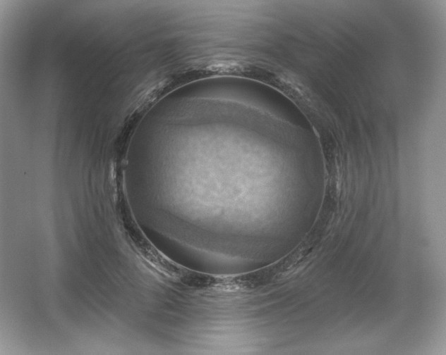 X0000067840696200604171153