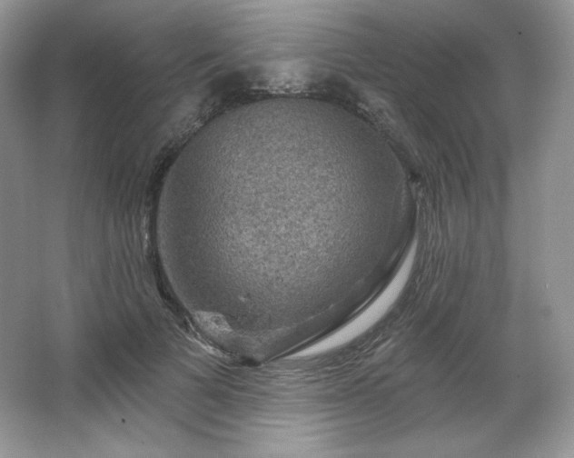 X0000067840697200604171153