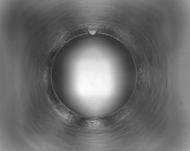 X0000067840698200604171153