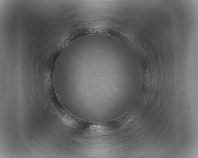 X0000067840699200604171153