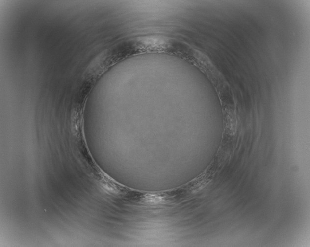 X0000067840701200604171153