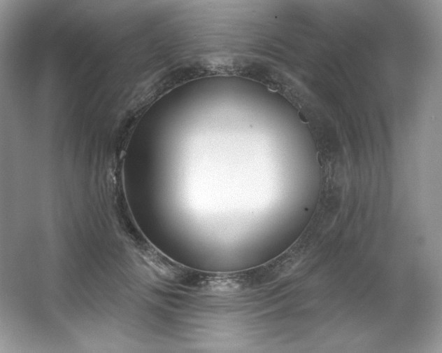 X0000067840702200604171153