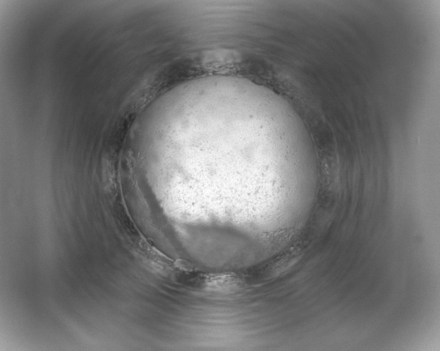 X0000067840705200604171153