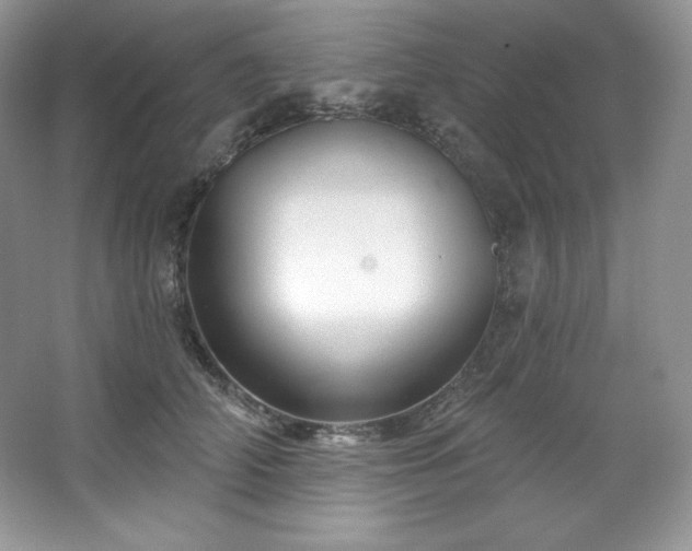 X0000067840706200604171153