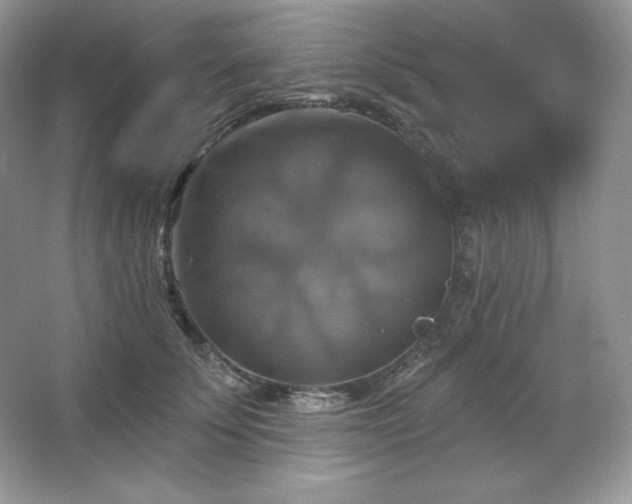 X0000067840707200604171153