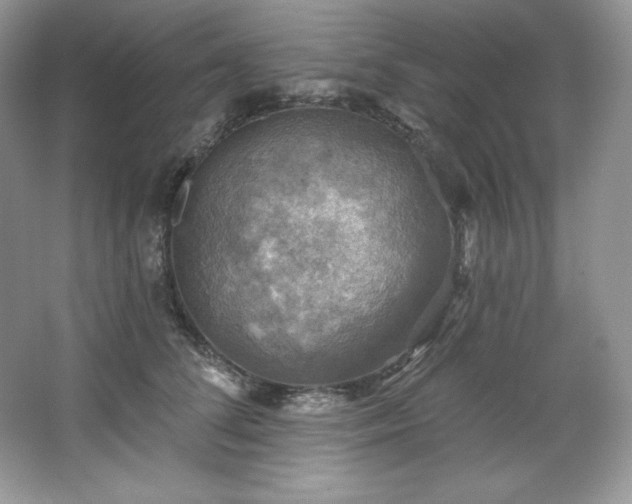 X0000067840708200604171153
