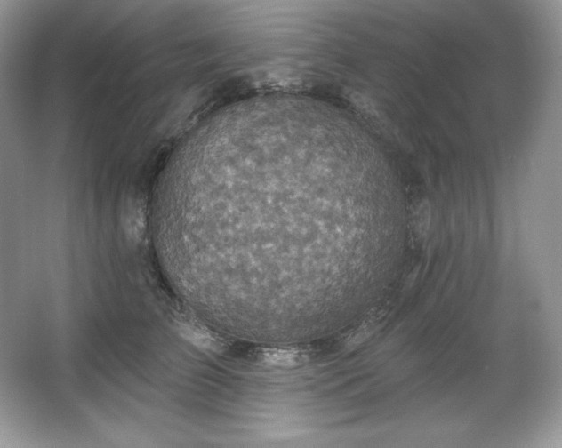 X0000067840709200604171153