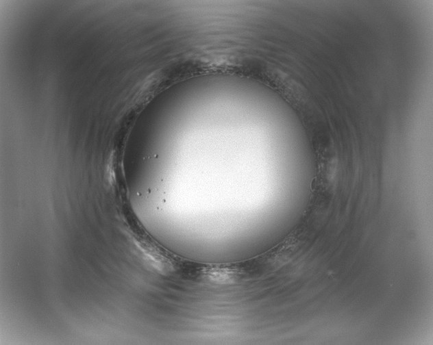 X0000067840710200604171153