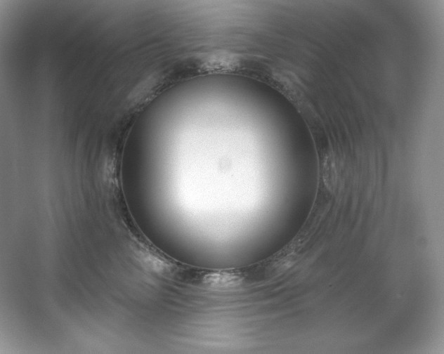 X0000067840714200604171153