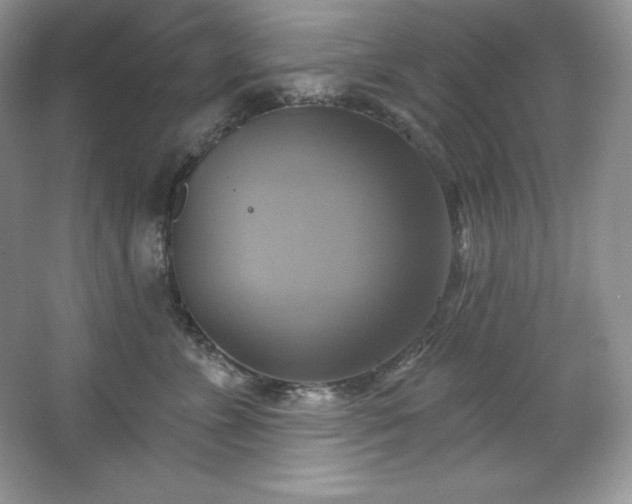 X0000067840715200604171153