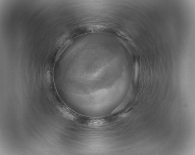 X0000067840716200604171153