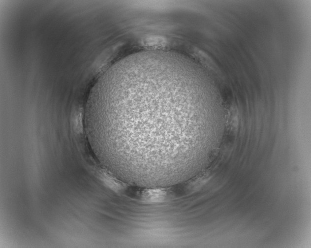 X0000067840717200604171153