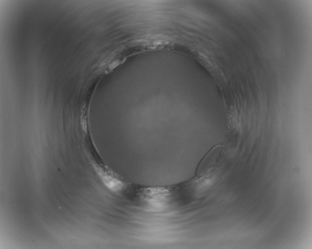 X0000067840719200604171153