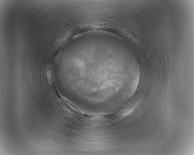 X0000067840720200604171153