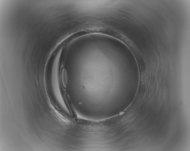 X0000067840722200604171152