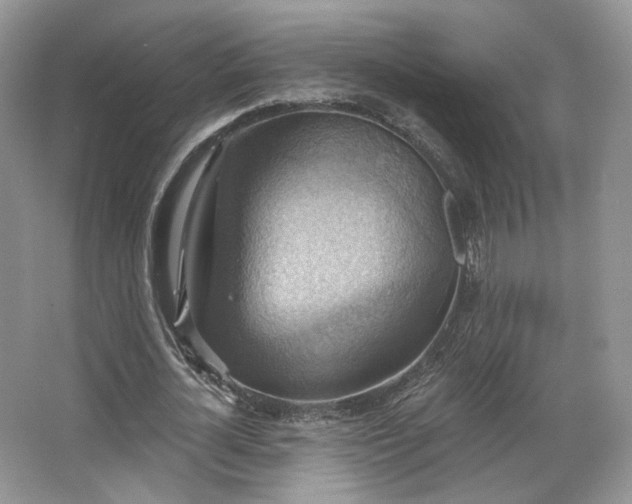 X0000067840724200604171152