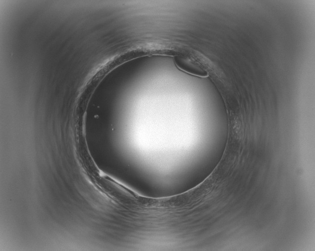 X0000067840732200604171152