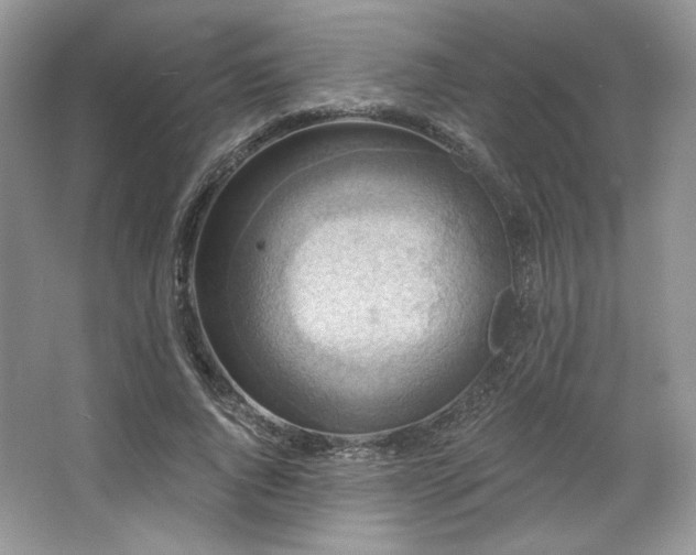 X0000067840736200604171152