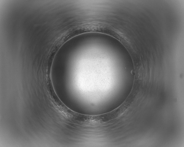 X0000067840737200604171152