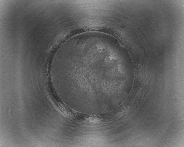 X0000067840742200604171152