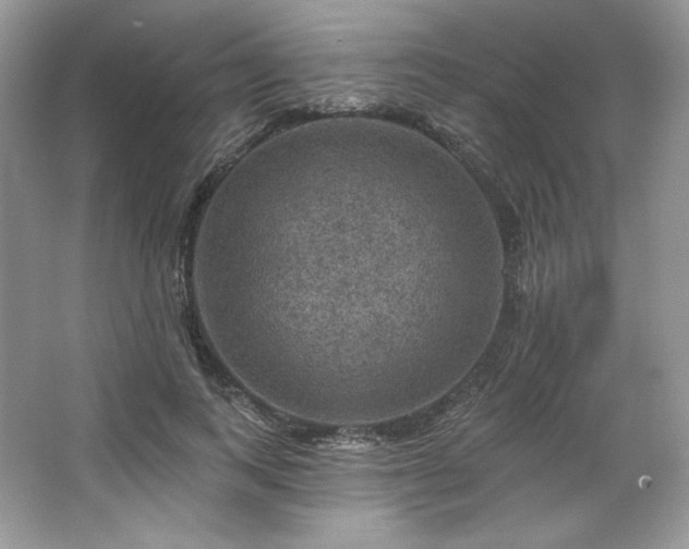 X0000067840743200604171152