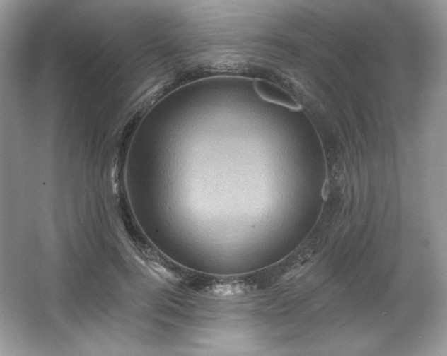 X0000067840744200604171152