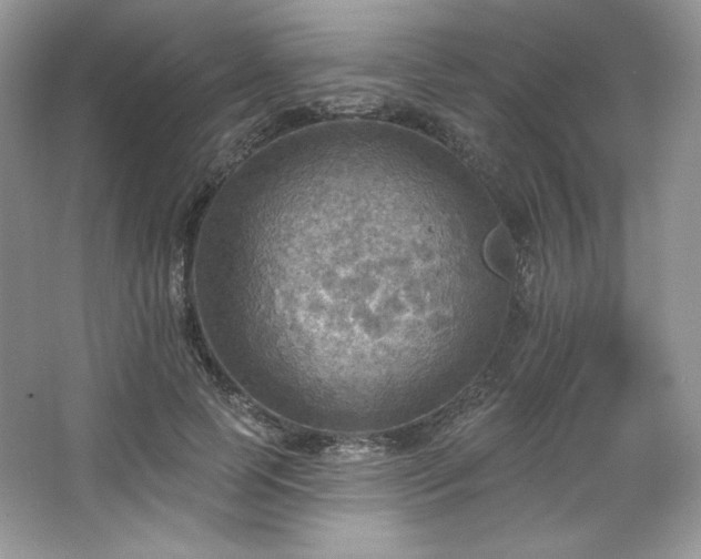 X0000067840745200604171152