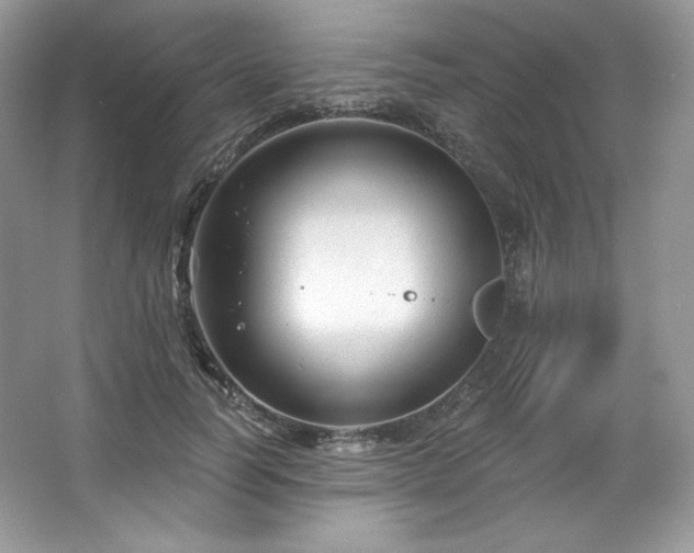 X0000067840746200604171152