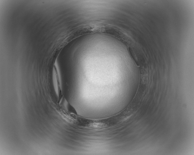 X0000067840748200604171152