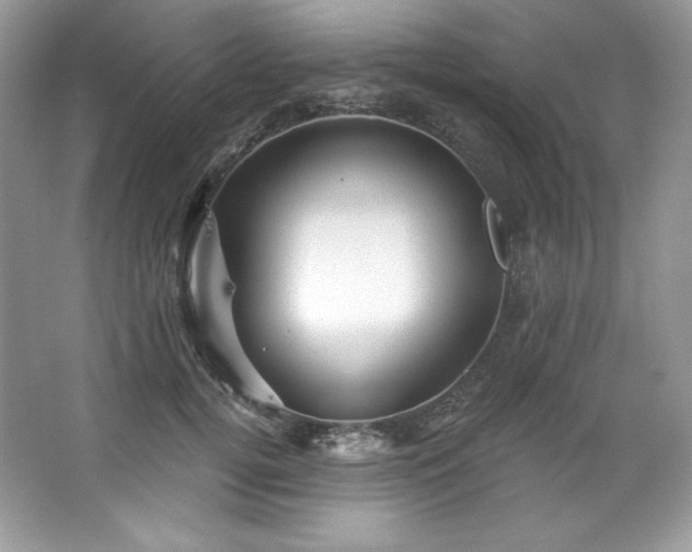 X0000067840752200604171152