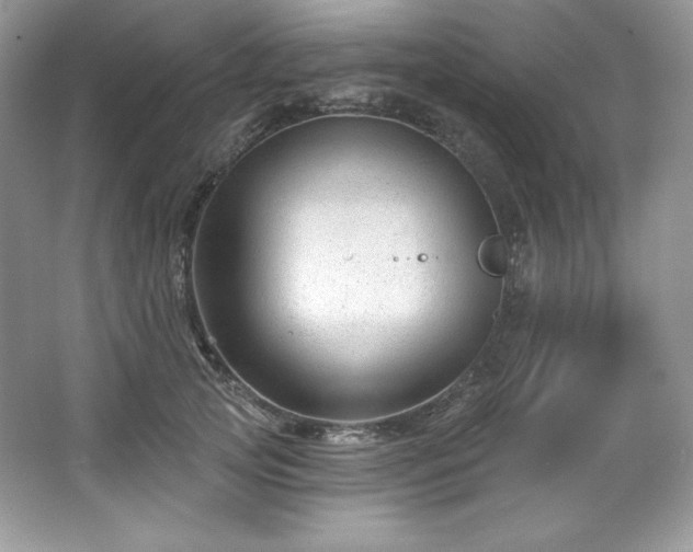 X0000067840753200604171152