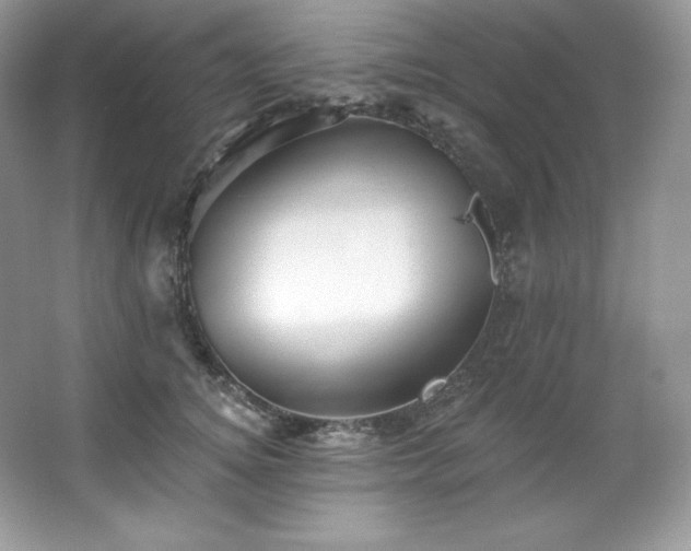 X0000067840756200604171152