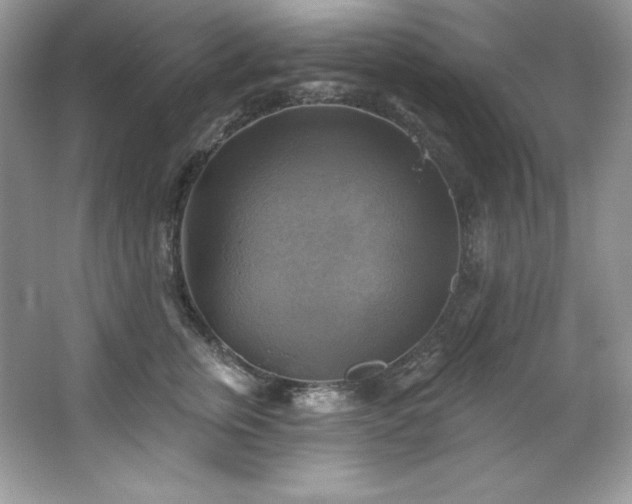 X0000067840759200604171152