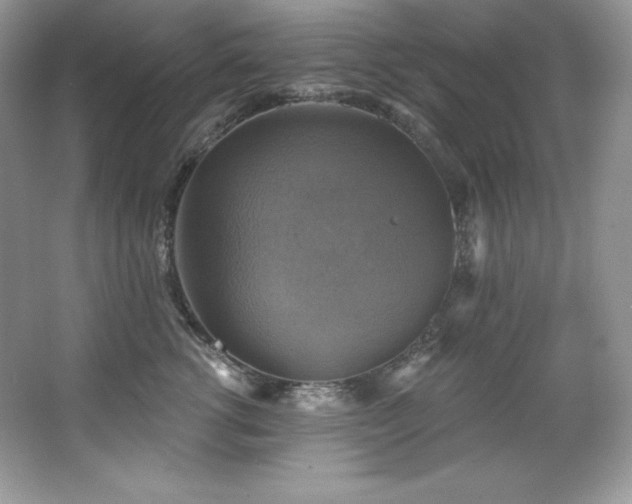 X0000067840762200604171152