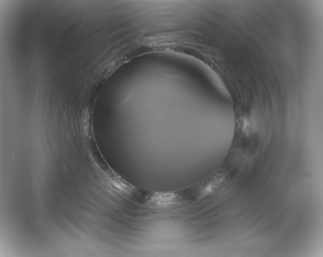 X0000067840767200604171153
